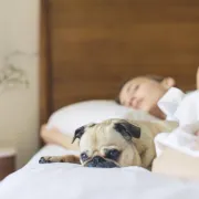 Hrčeš? Ovi savjeti će ti pomoći da prestaneš s noćnim "simfonijama"