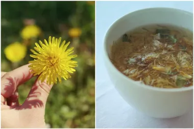 Maslačak - podcijenjena vitaminska bomba sa sto lica koju obožavamo