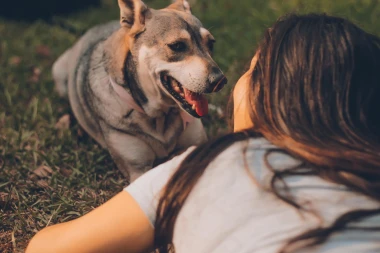Njihov je dan: 10 razloga zašto su psi najbolji kućni ljubimci