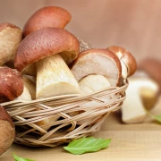 5 neodoljivih recepata s gljivama za hladne jesenske dane