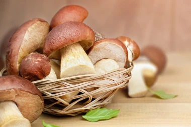 5 neodoljivih recepata s gljivama za hladne jesenske dane